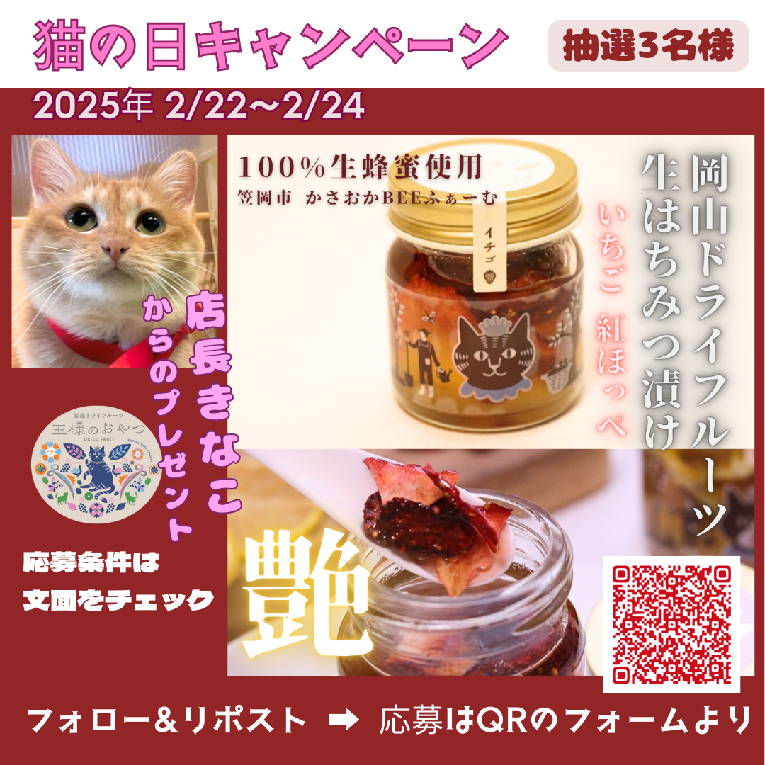 【猫の日プレゼントキャンペーン】2/22(土) 12:00〜2/24(月) 23:59