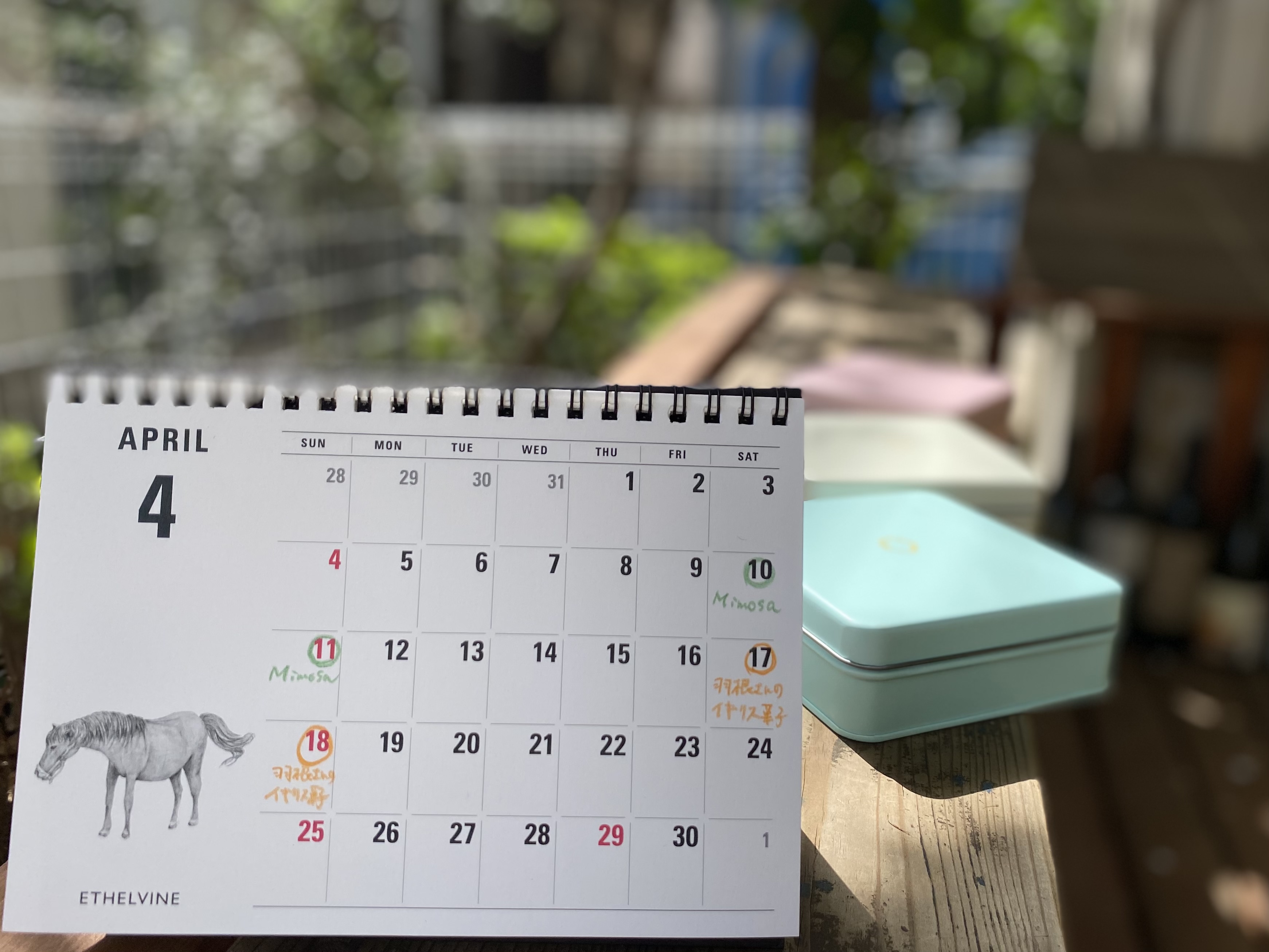 4月のご案内