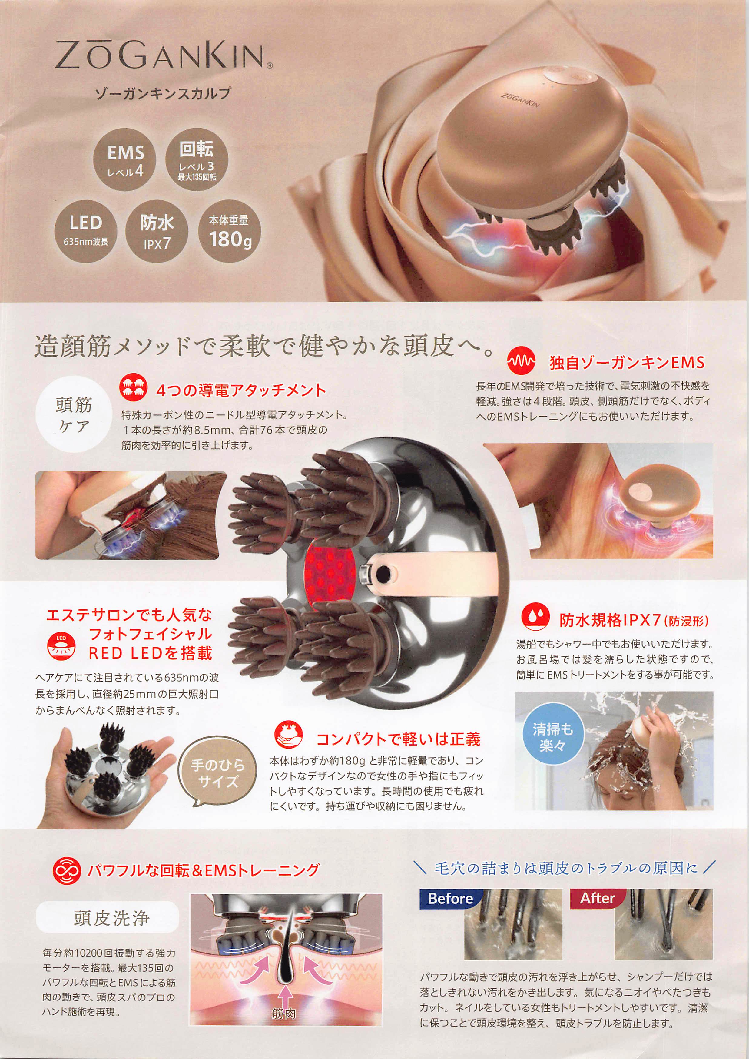 あの大人気で欠品も度々起きる『ゾーガンキンスカルプ』ですが、 な、な、なんとー(!)