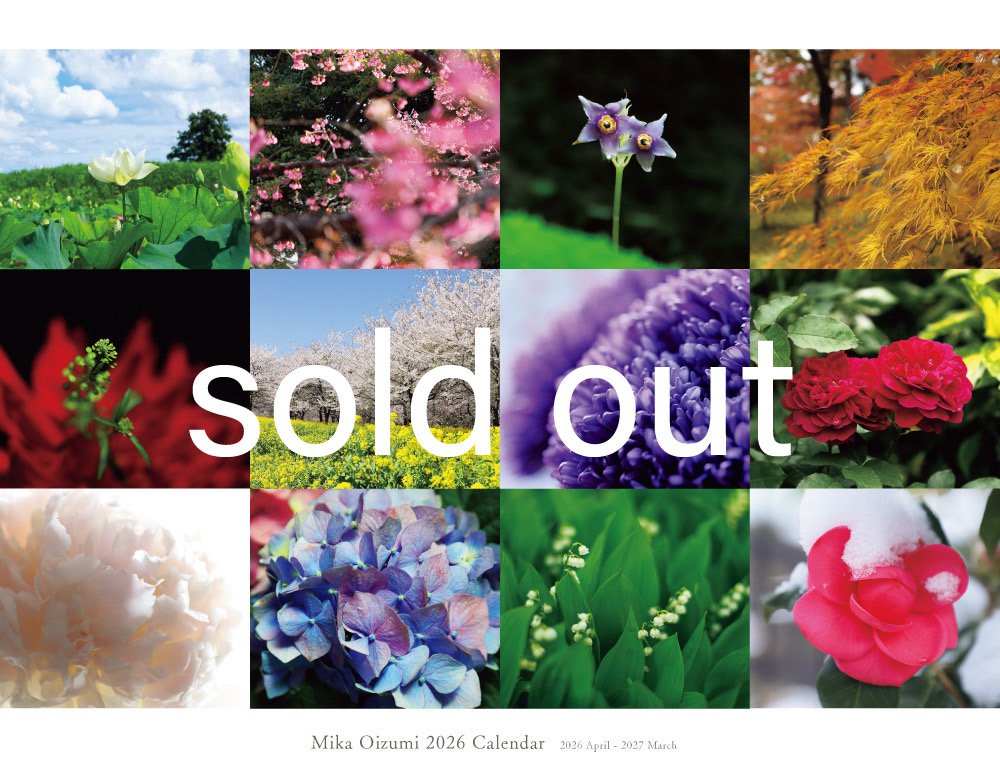 Mika Oizumi 2026 Calendar　完売となりました！