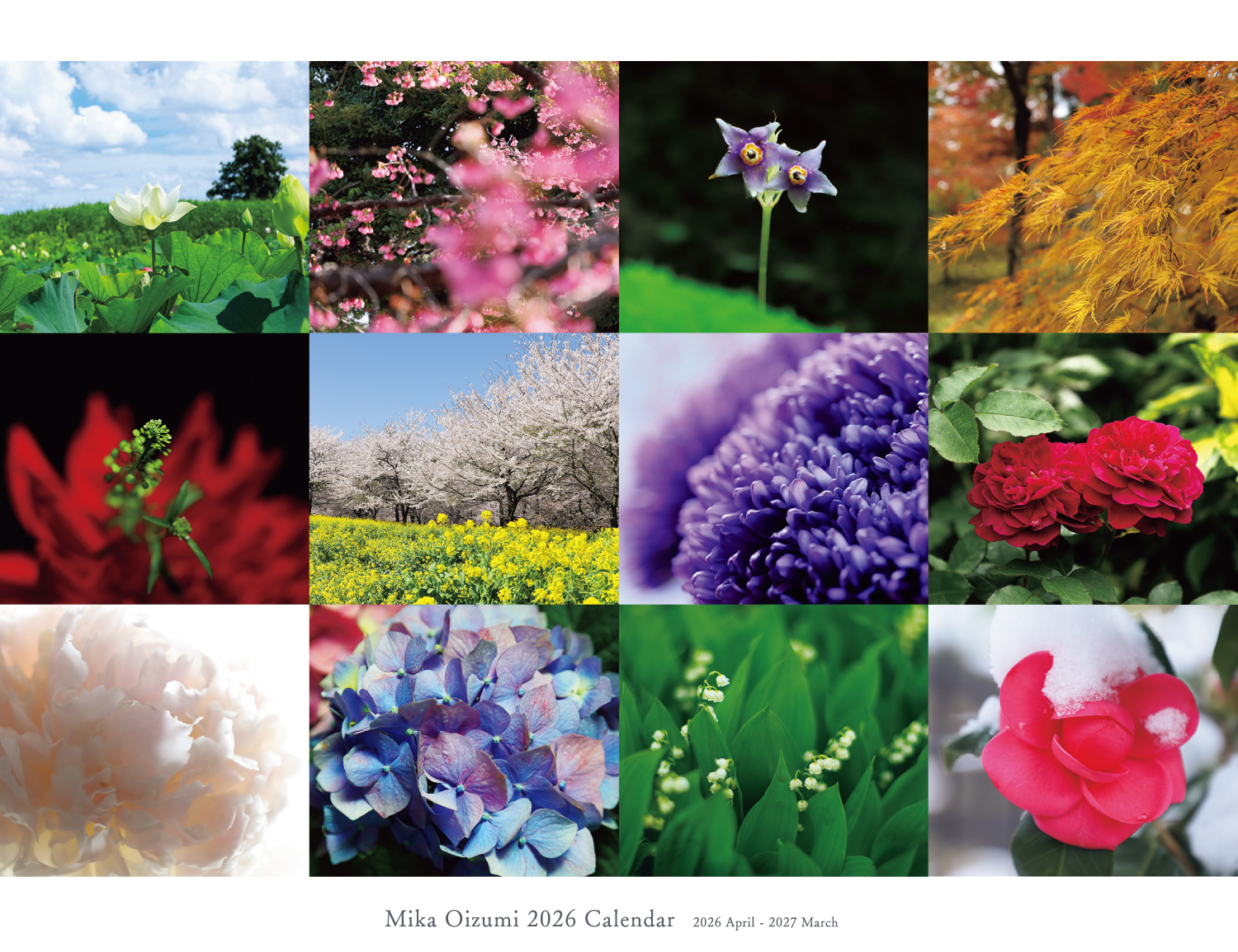 Mika Oizumi 2026 Calendar 発売中！