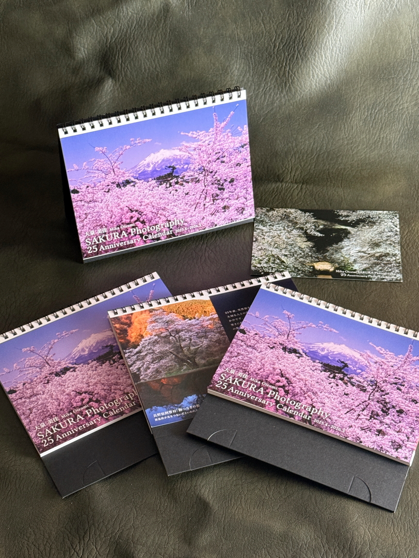 Mika Oizumi 2025 SAKURA Calendar 発売開始!