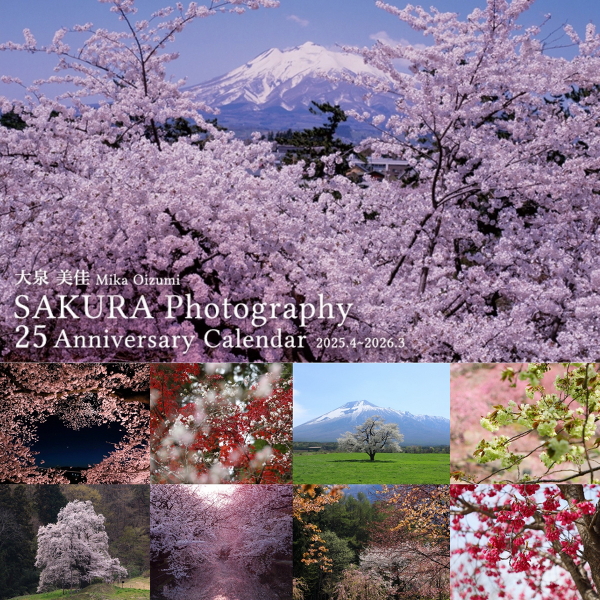 大泉美佳桜カレンダー残り僅かとなりました!