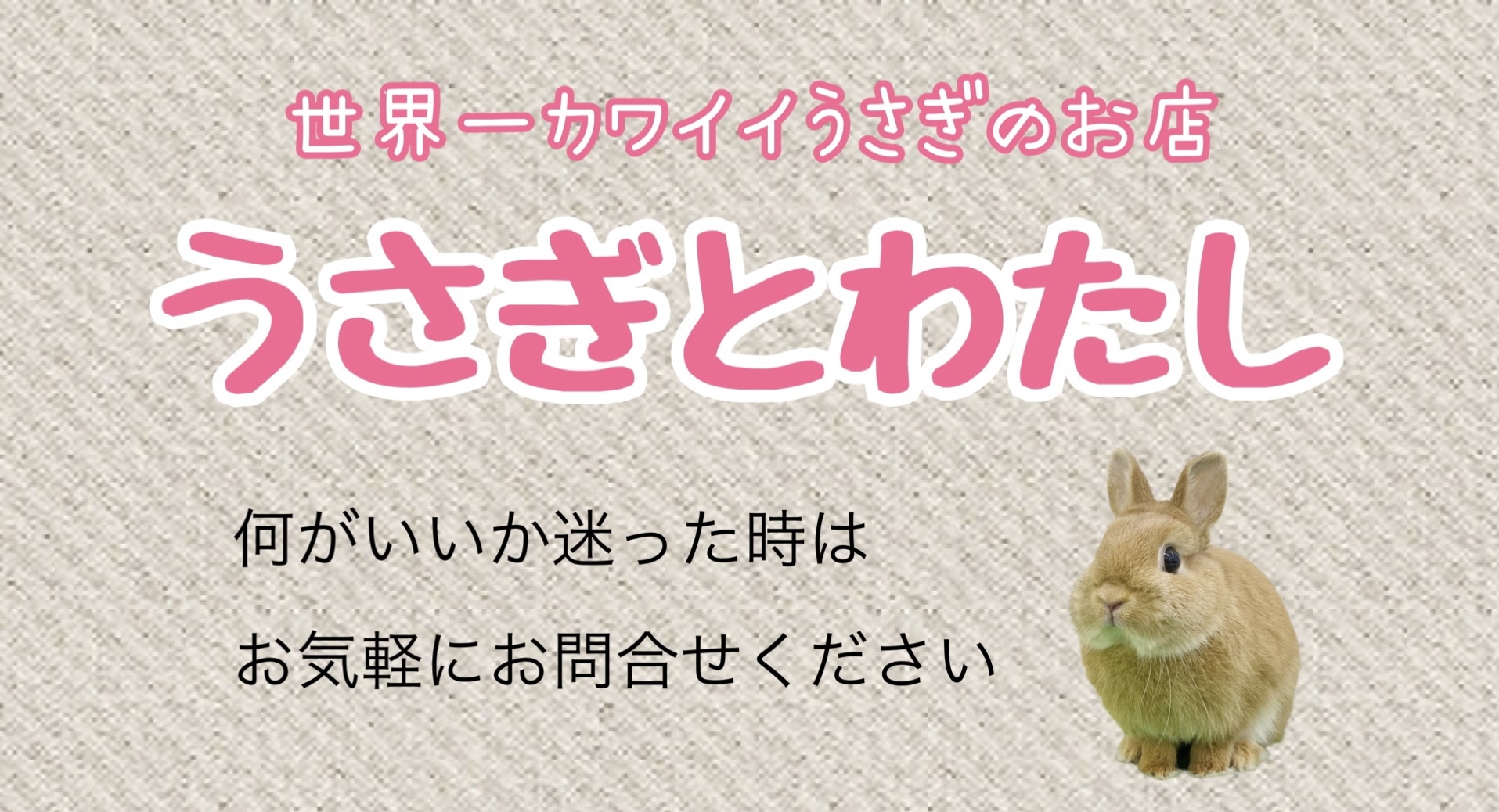 うさぎ専門店うさぎとわたし