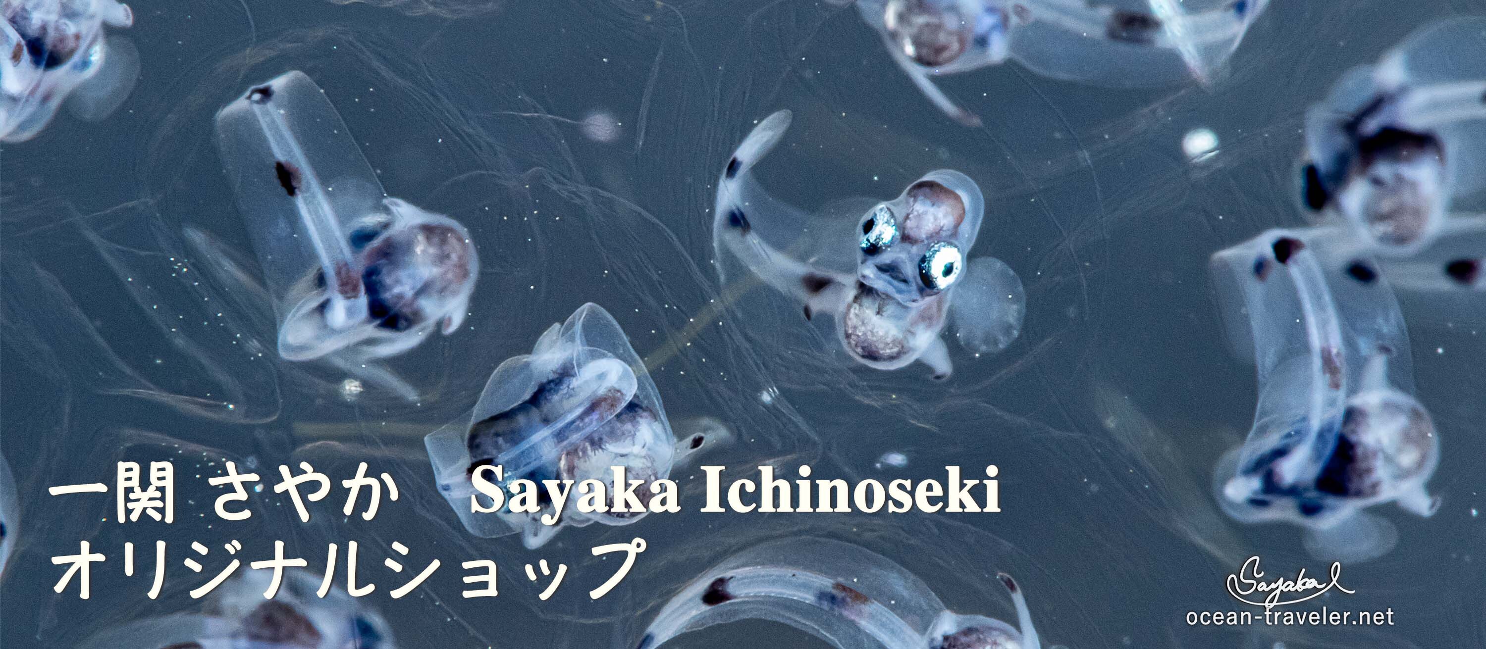 Sayaka Ichinoseki オリジナルショップ