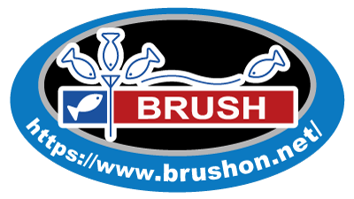 BRUSH（ブラッシュ）琵琶湖情報