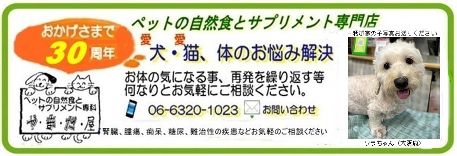 ペットの自然食とサプリメント専門店 やまだ屋