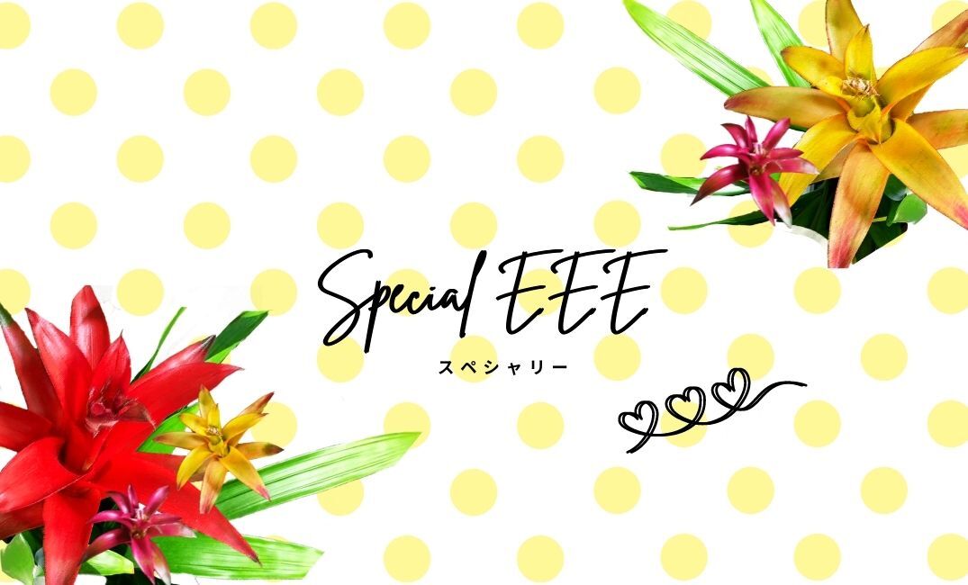 派手ピアス人気の雑誌掲載ピアス 一点ものヒッピーピアス通販 Special Eee