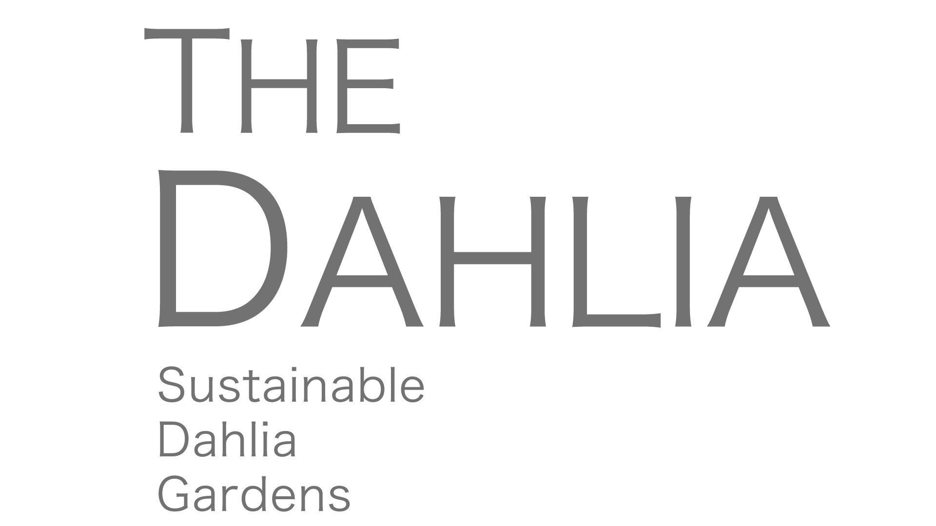 THE DAHLIA