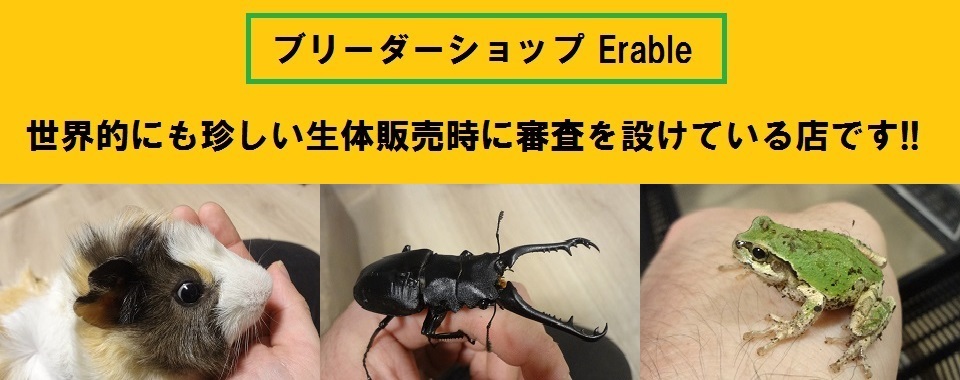 ブリーダーショップ Erable
