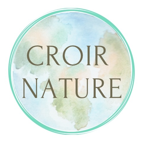 パーフェクトハーブヘナ ロマンスブラック100ｇ Croir Nature クロワナチュール