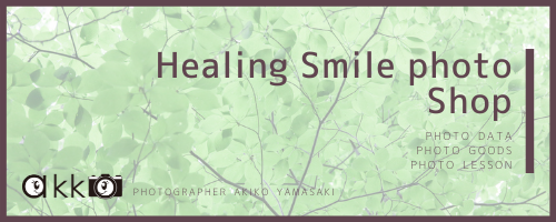 Healing Smile photo Shop