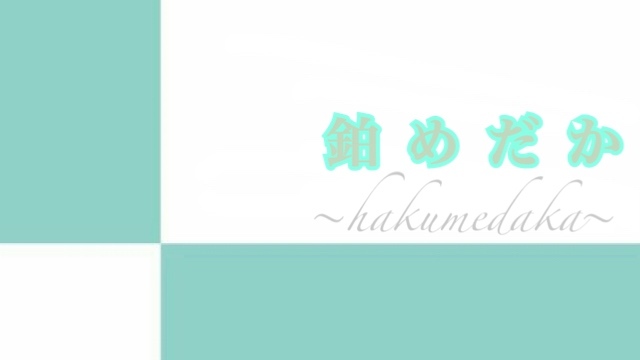 メダカ販売 卵 鉑めだか ハクメダカ