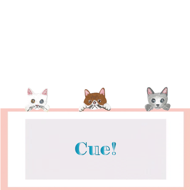 はんcatch エキゾチックショートヘアー 茶白 Cue はんcatch エキゾチックショートヘアー 茶白 Cue
