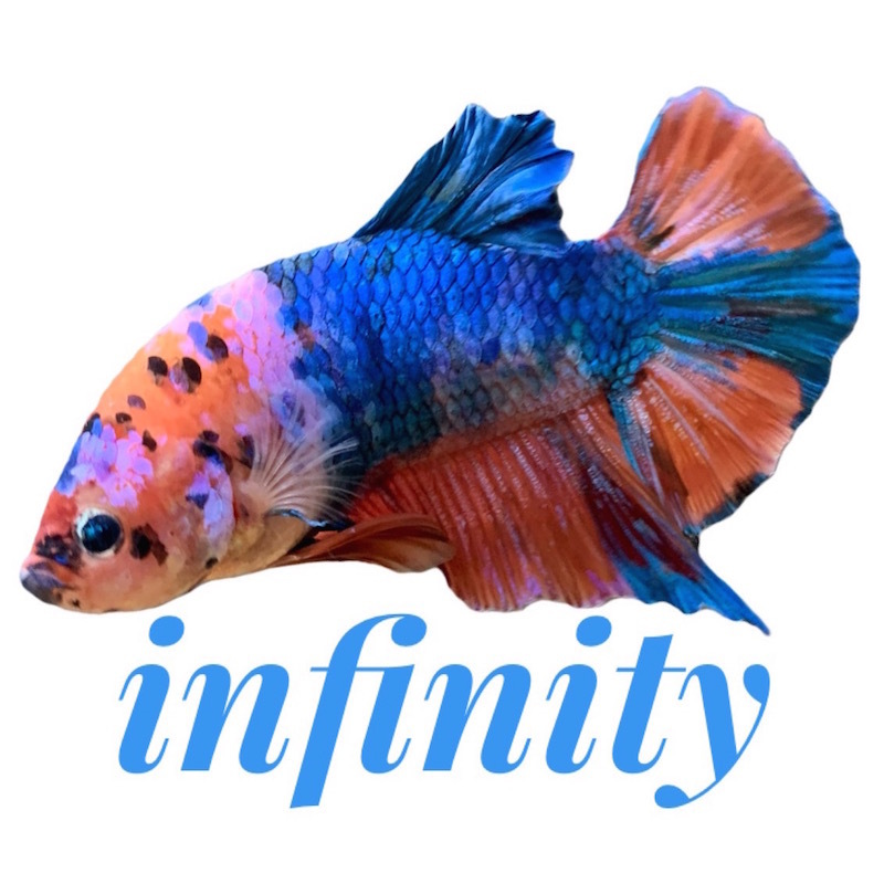 インフィニティ