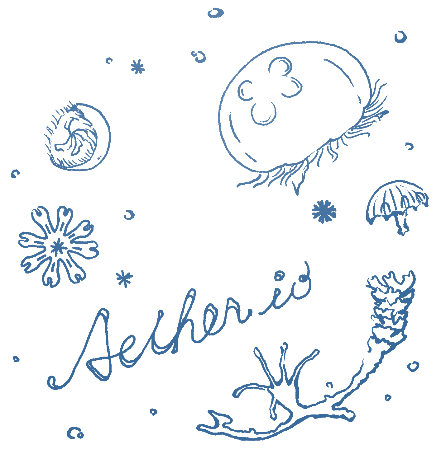 クラゲのムーンドリームサンキャッチャー01 Aether Io