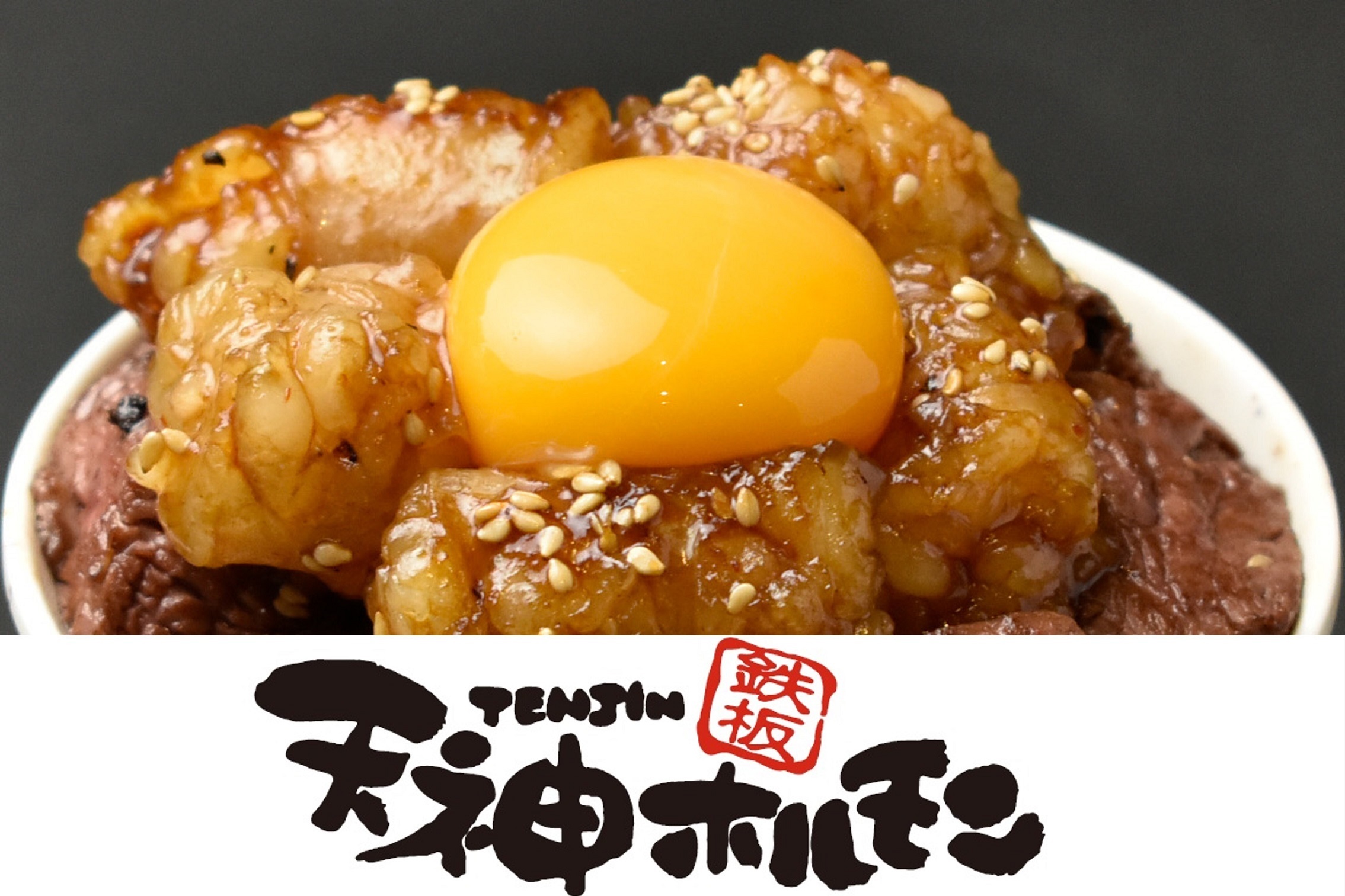 公式通販サイト 鉄板焼天神ホルモン 天ホル おかずホルモン 国産丸腸 もつ鍋