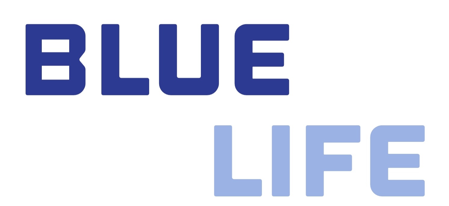 Blue Life 釣具 リール 面白いルアーが揃うお店 Blue Life 釣具 リール 面白いルアーが揃うお店