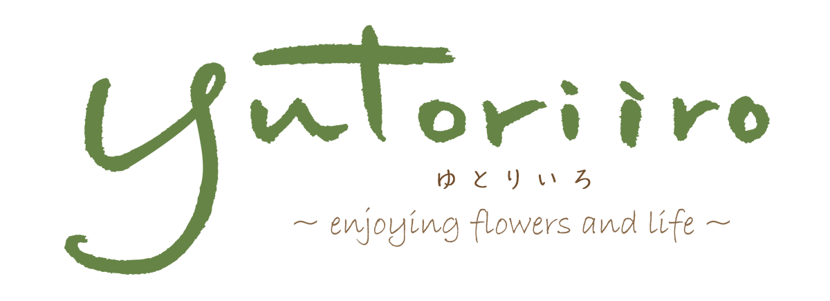 お花のポニーフック ベビーフラワー ライトグリーン カスミ草 大人の髪飾り Yutoriiro