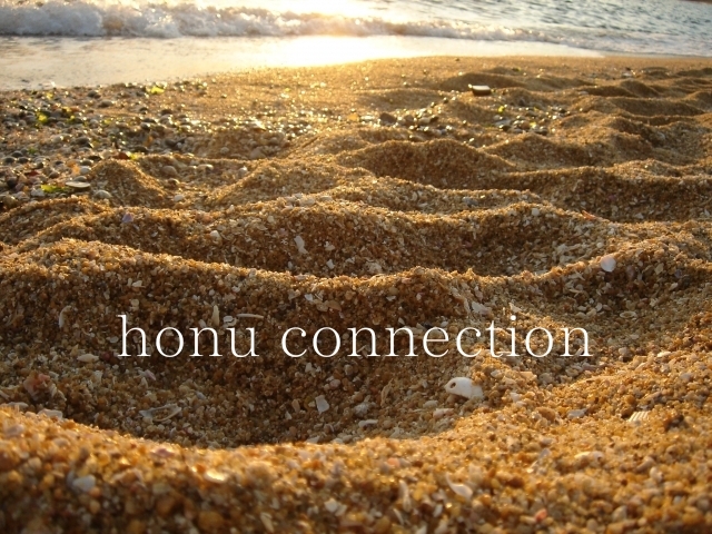 honu connection