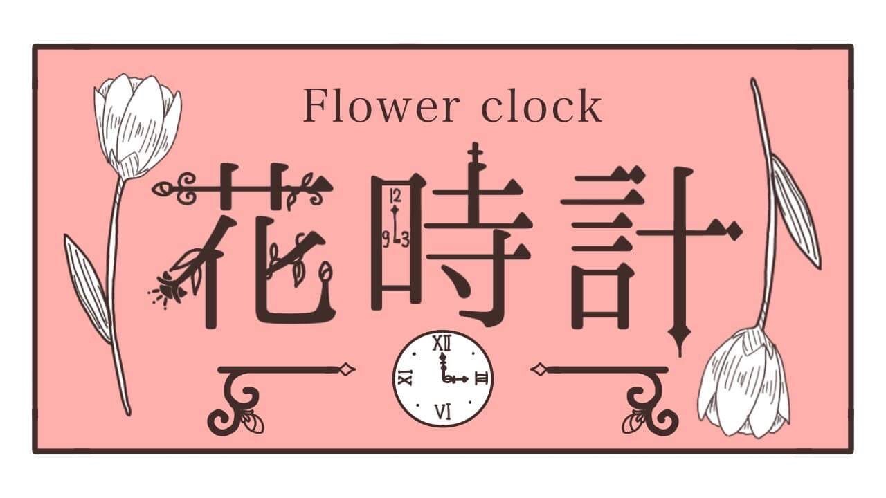 上野の花屋 花時計 オンラインショップ By シトロンリーフ