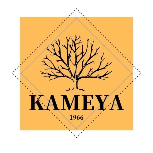 kameya1966