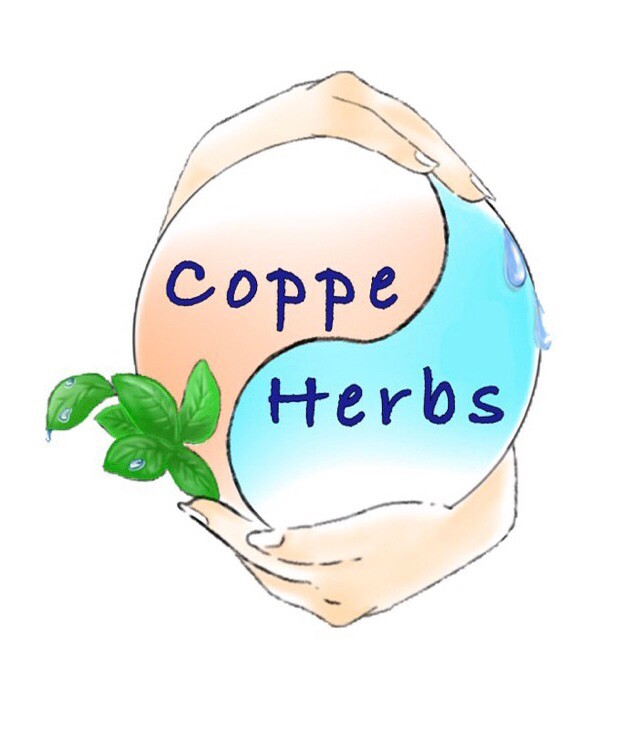 自然栽培  国内産よもぎとタイハーブ  温活グッズの～Coppe Herbs～コッペハーブスオンラインショップ