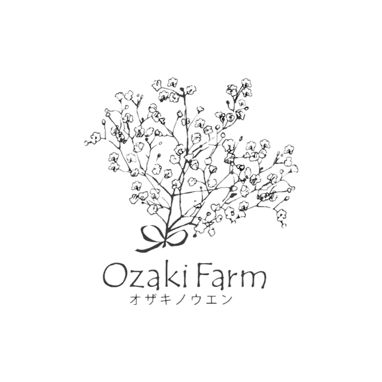 おしゃれなかすみ草花束 オザキノウエン