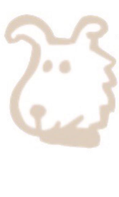 着丈に注目♡