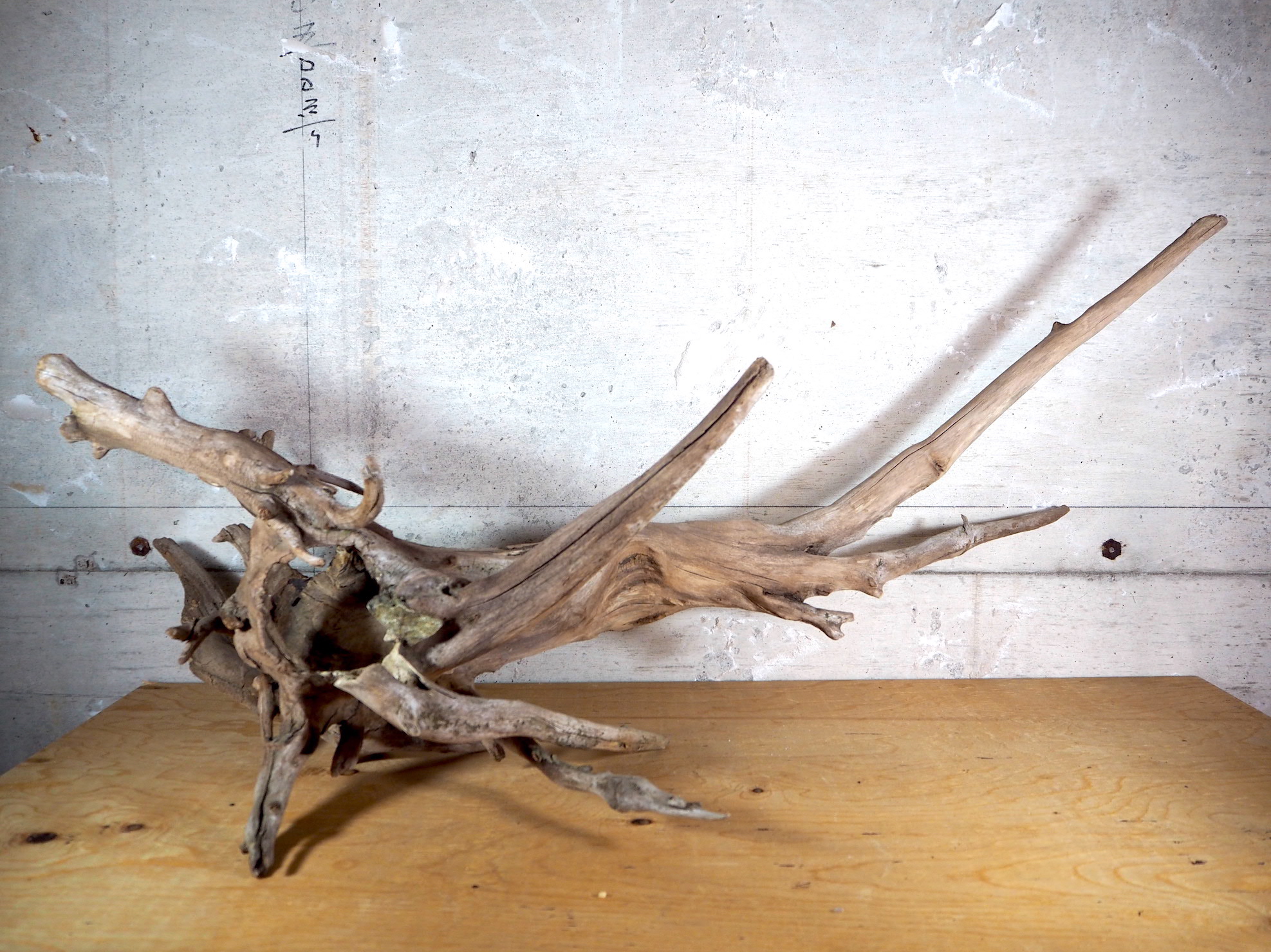 流木販売専門店 山の流木