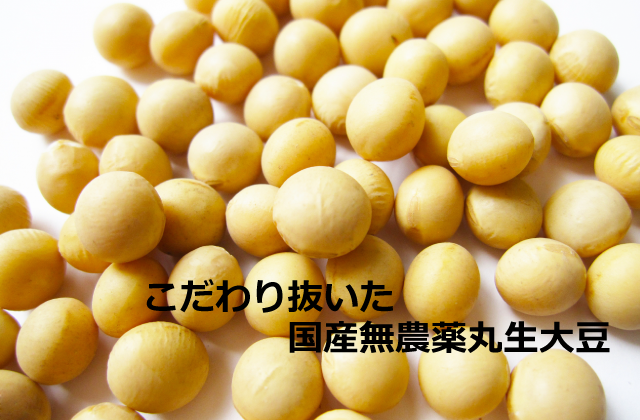 一般社団法人Bio Trust(バイオトラスト)紹介画像1