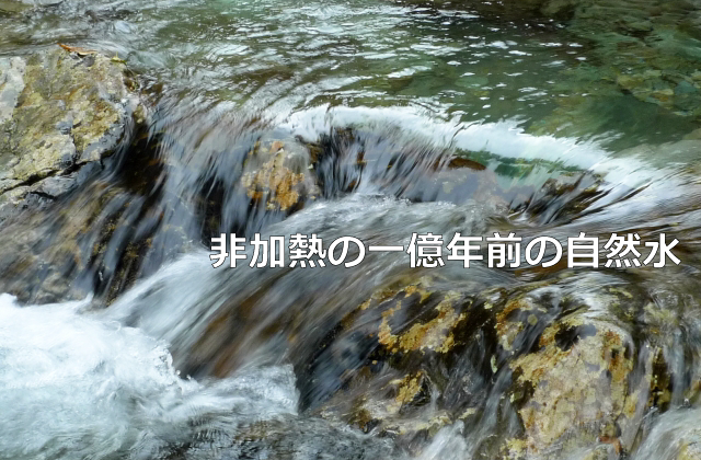 一般社団法人Bio Trust(バイオトラスト)紹介画像2