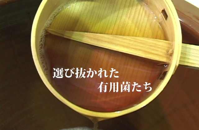 紹介画像3