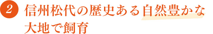 信州松代の歴史ある自然豊かな大地で飼育