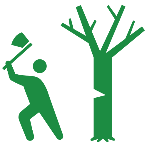 ぼうそうオーク薪