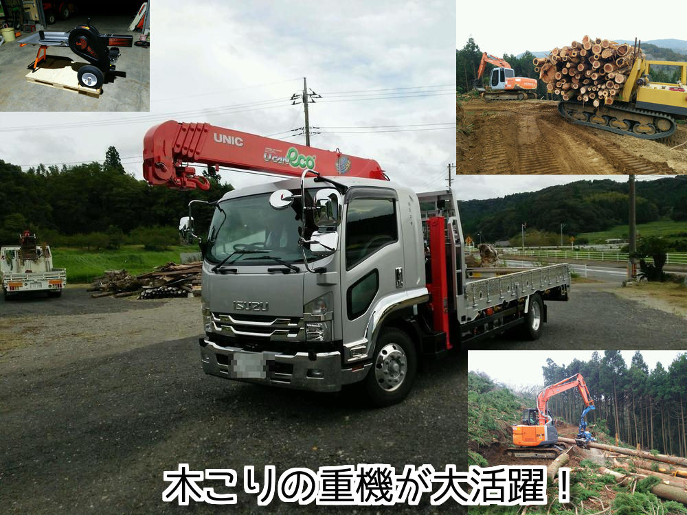 ぼうそうオーク薪