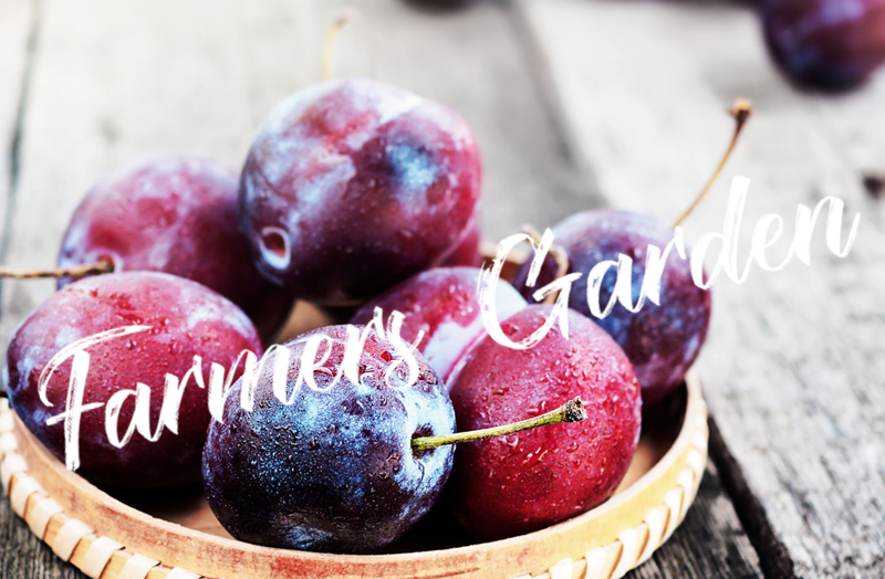 Farmers Garden オンラインショップ