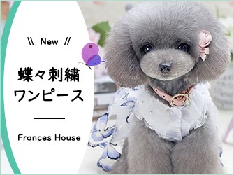 メイン小バナー2