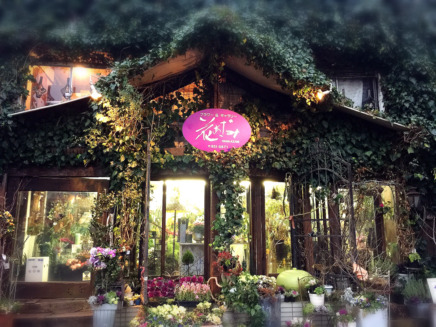 About 花薊 About 花薊