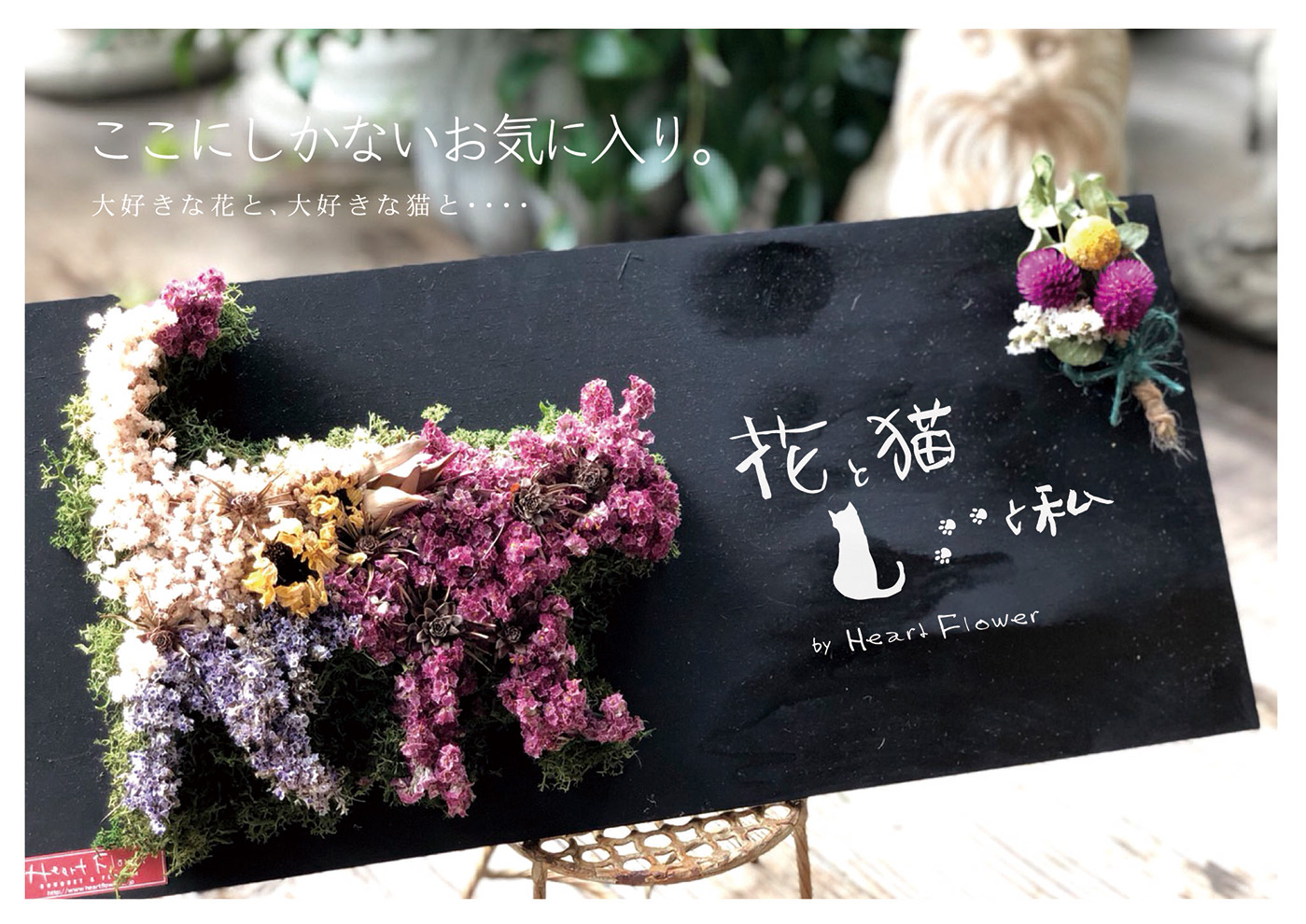 フラワーギフトのオンラインショップ 花と猫と私 By ハートフラワー