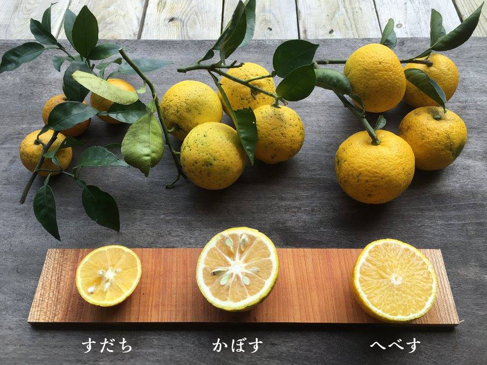 がん予防 花粉症対策 へべすライム