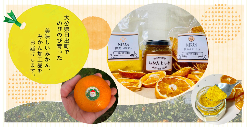 関口観光農園紹介画像1