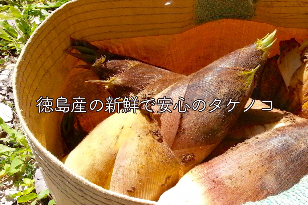 Kitamura Foods Kitamura Foods