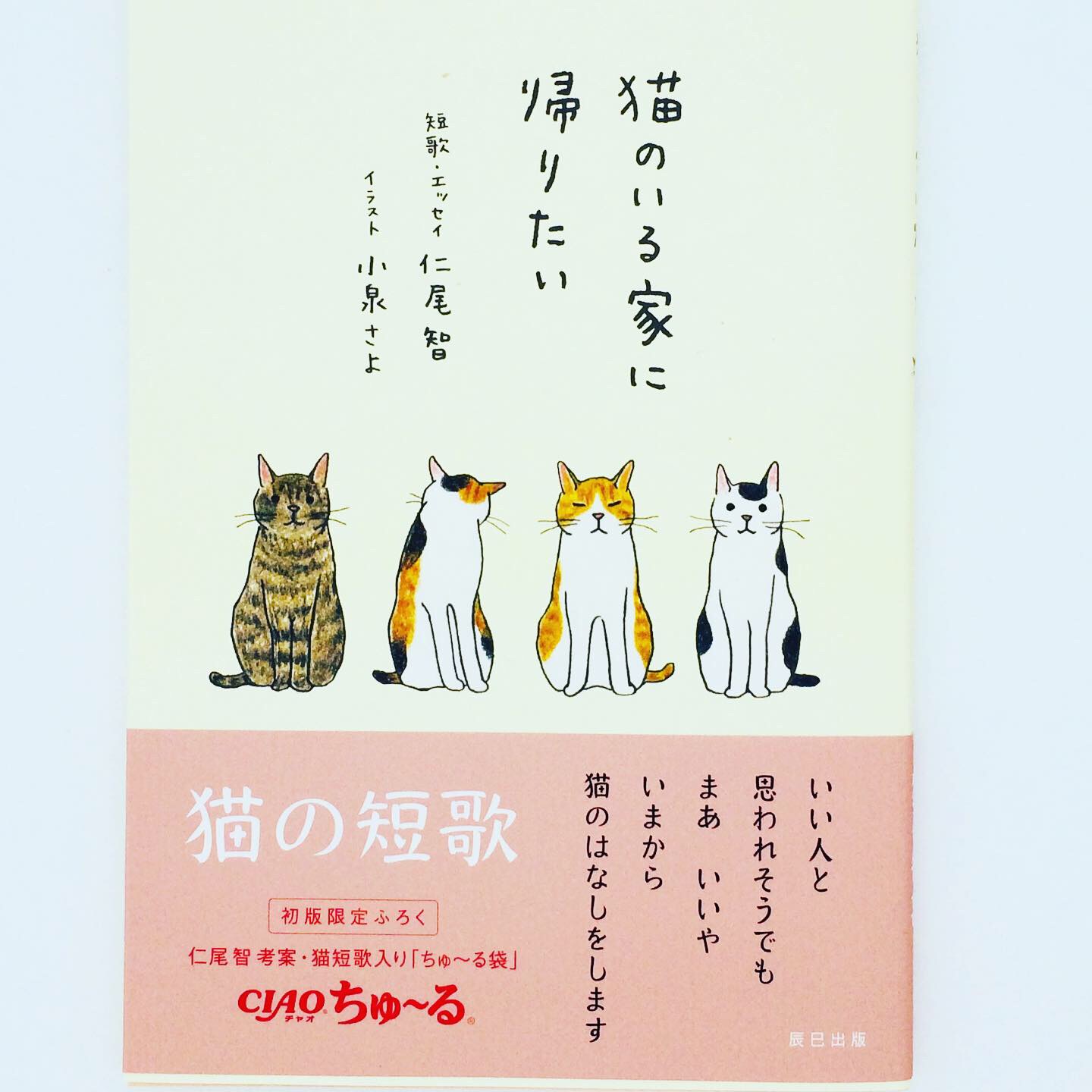 猫のいる家に帰りたい 猫歌人 仁尾智 イラスト 小泉さよ いつもそばに ふくねこ雑貨店 Ambitious 猫のいる家に帰りたい 猫歌人 仁尾智 イラスト 小泉さよ いつもそばに ふくねこ雑貨店 Ambitious