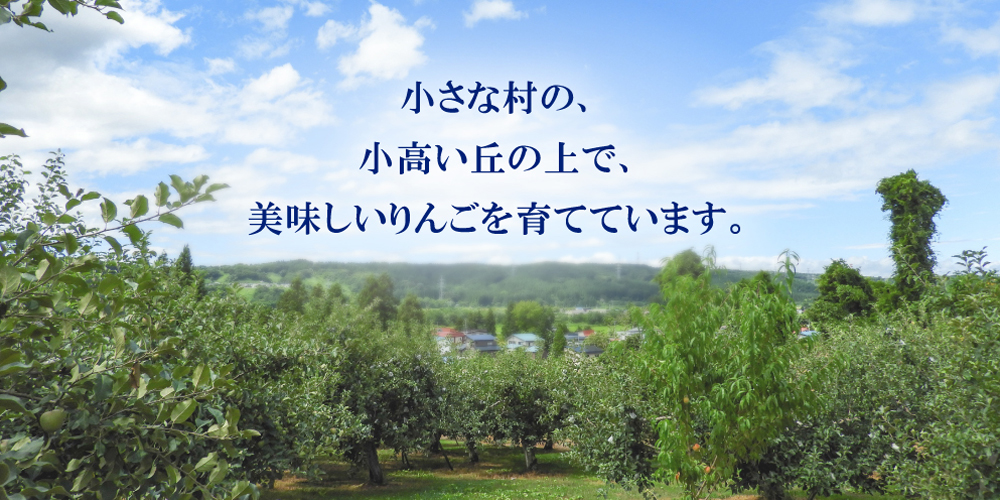 小さな村の小高い丘の上で美味しいりんごを育てています。