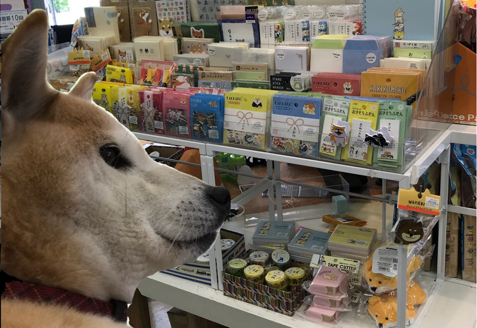 看板犬のいる文具屋さん