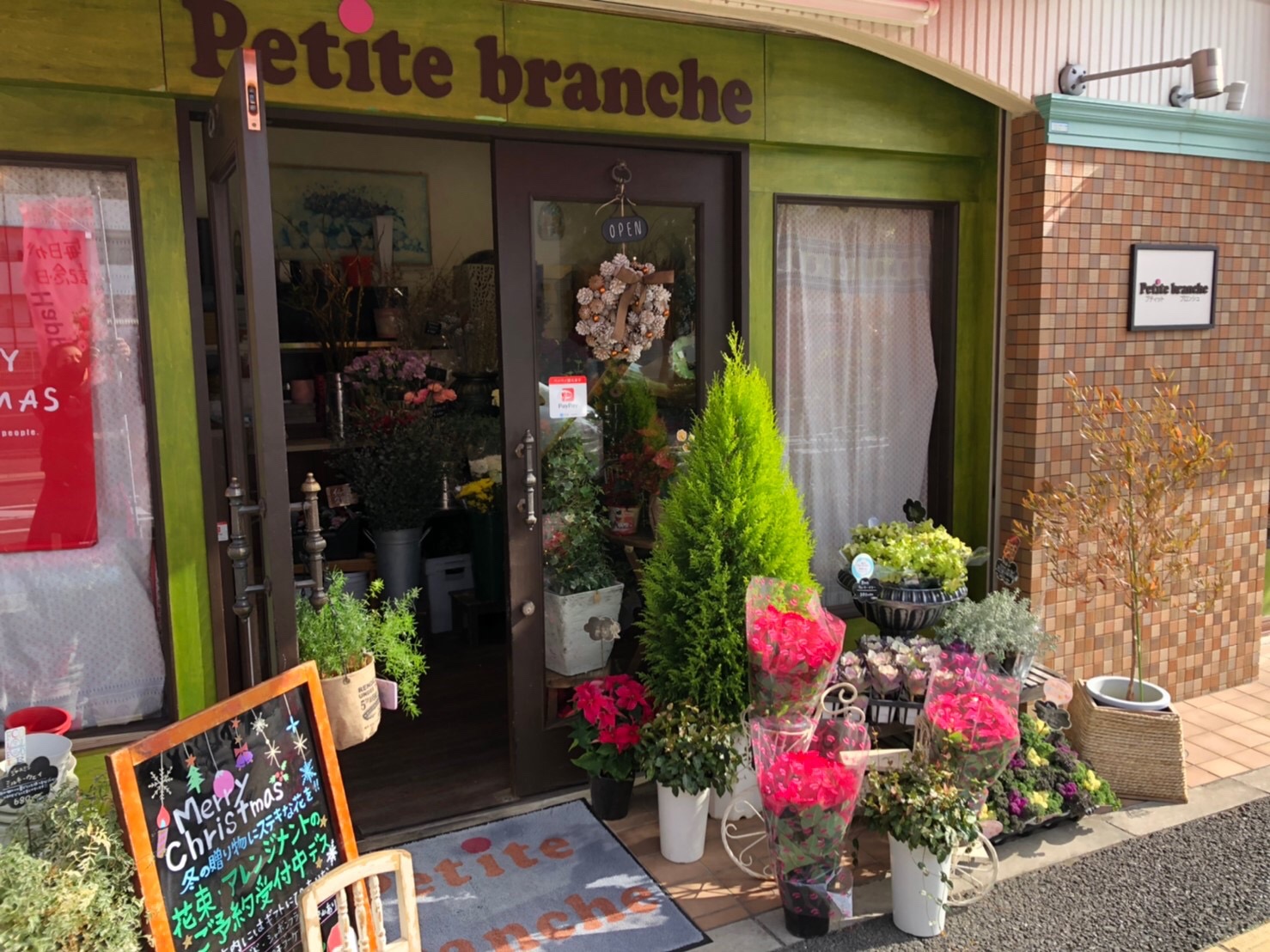 About Petite Branche