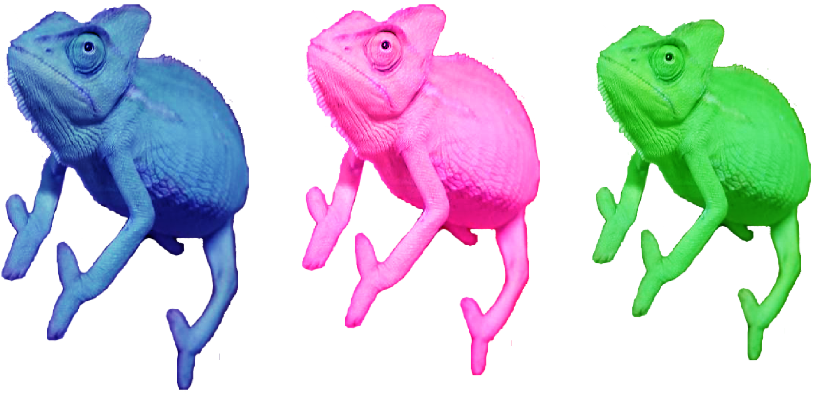 爬虫人類 Reptile Human 爬虫人類 Reptile Human