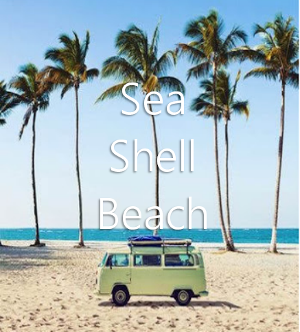 sea♡shell♡beach