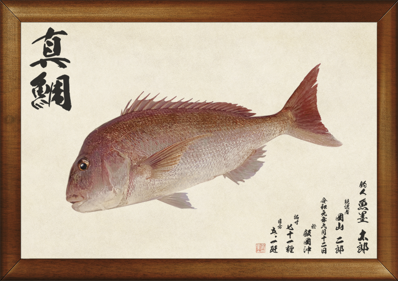 FISH PRINT ITEM SHOP
<br>「UOSUMI」